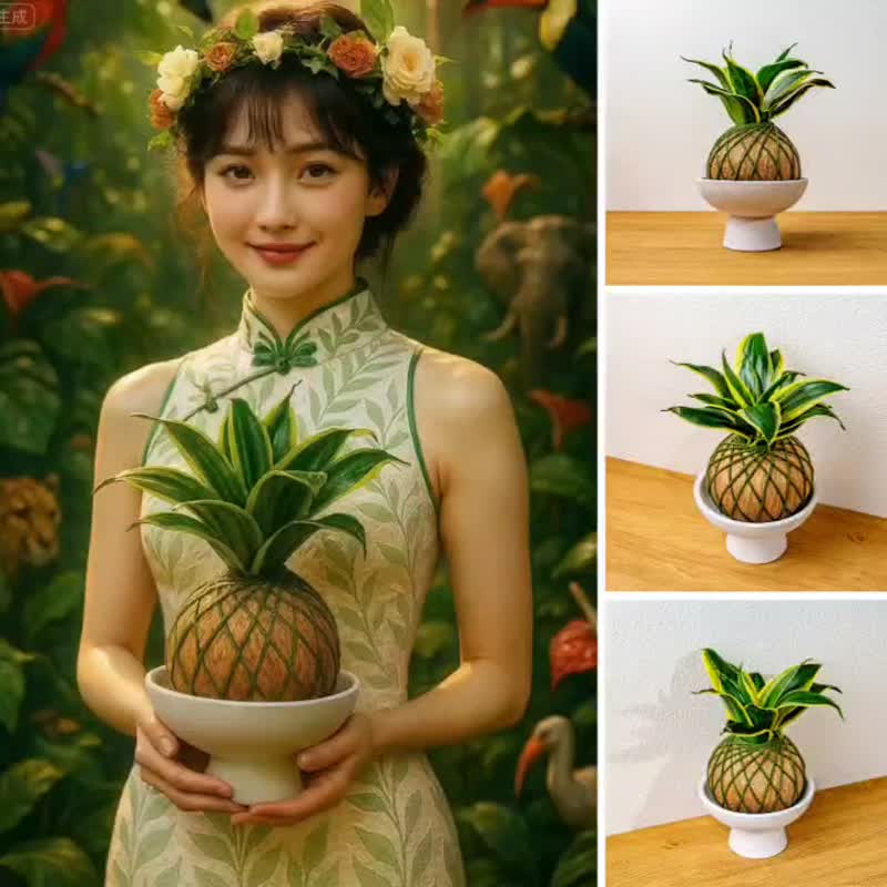 苔球植物 金刚虎尾兰灰金苔球加磨砂高脚钵 苔球 苔玉 礼物 送礼 - 植栽/盆栽 - 植物．花 绿色