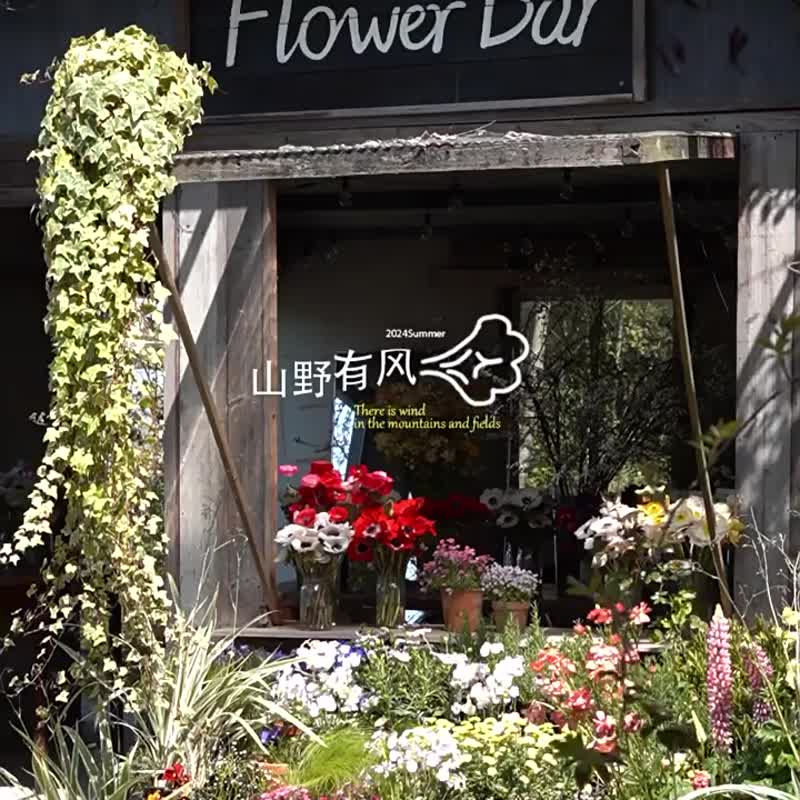 彩條書信 法式松弛感圓領襯衣 插肩袖設計感燈籠袖條紋襯衫 - 女装衬衫 - 棉 紫色