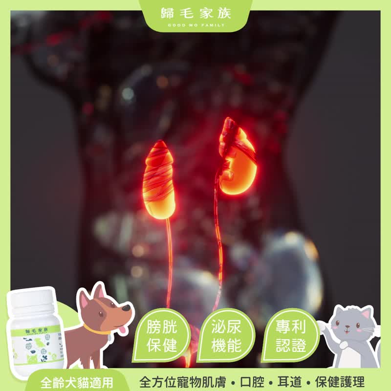 【归毛家族】Good宝系列宠物保健品－泌尿宝2入组 - 其他 - 其他材质 