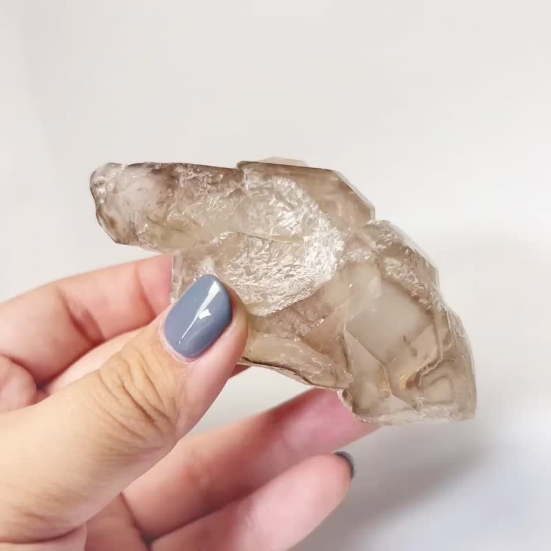 红泥骸骨3 水晶 原矿 烟色 神龟感 带彩虹光 清透 马达加斯加 - 摆饰 - 水晶 咖啡色