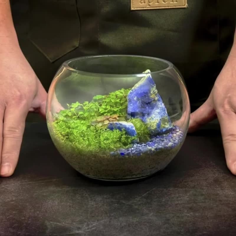 水光山色 / 矿石水晶定制化景观生态缸 - 植栽/盆栽 - 植物．花 