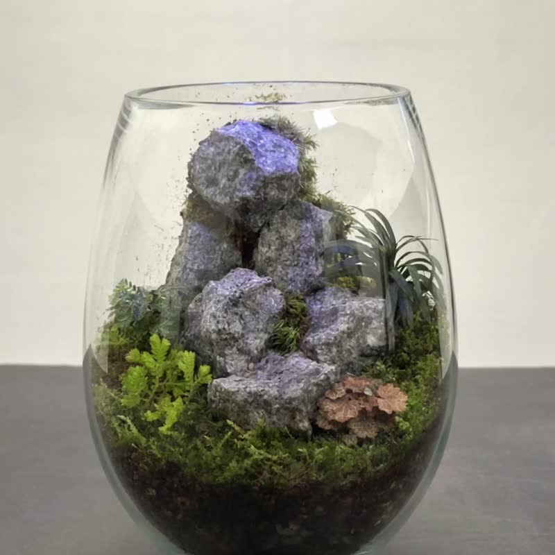 静焰藏石 / 矿石水晶定制化景观生态缸 - 植栽/盆栽 - 植物．花 