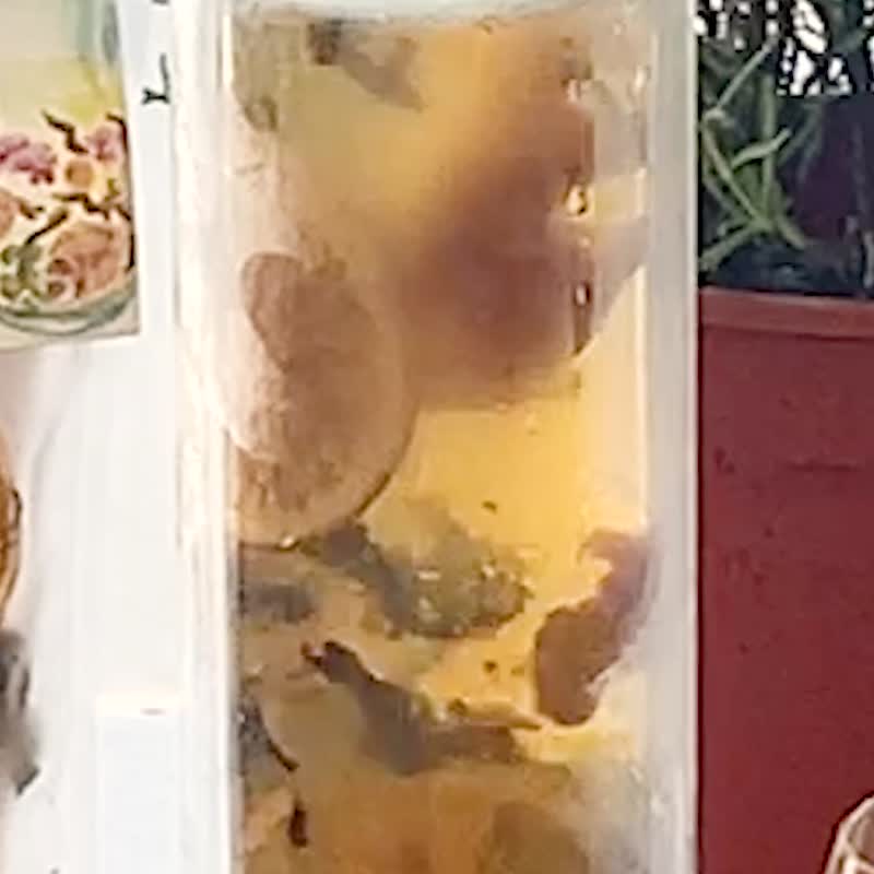 冰酿微醺【果茶酒香料包】-菊樱红茶风味 - 茶 - 植物．花 橘色
