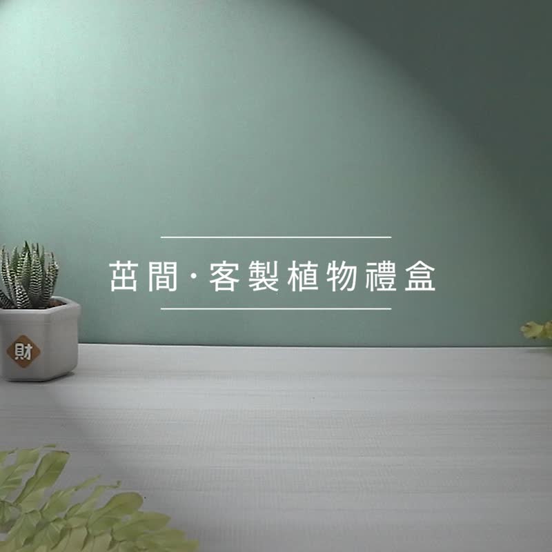多肉水泥盆【植物礼盒】可另加购定制雷雕 UV转印 | 需自行组装 - 植栽/盆栽 - 水泥 