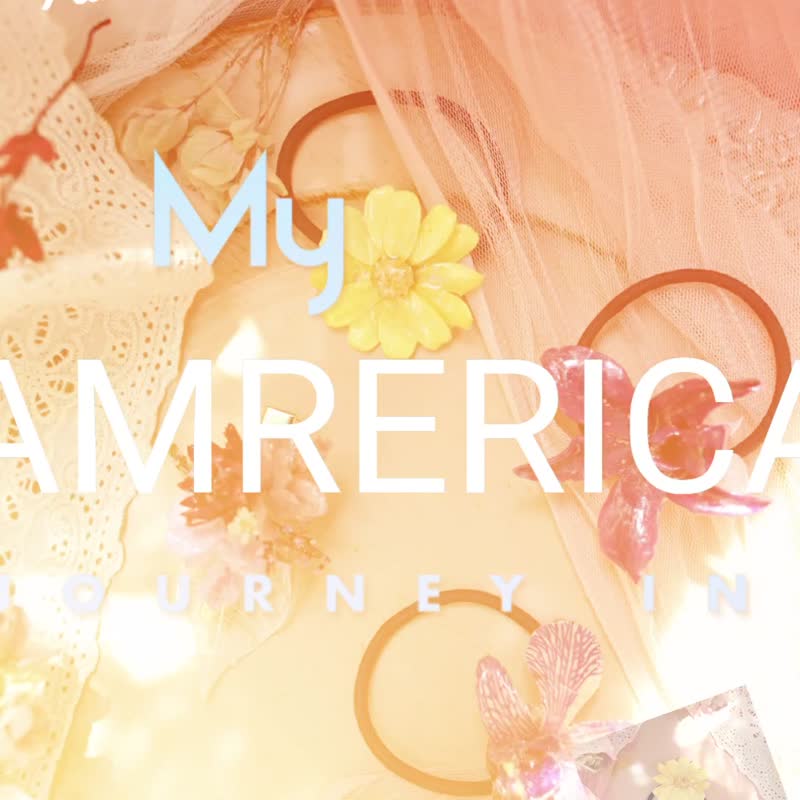 圣诞礼盒-风在吹灵动女孩真花饰品发圈发夹 - 发饰 - 植物．花 粉红色