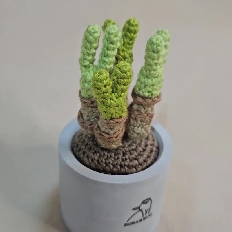 多肉植物-璧光环-手作编织植物 - 植栽/盆栽 - 绣线 绿色
