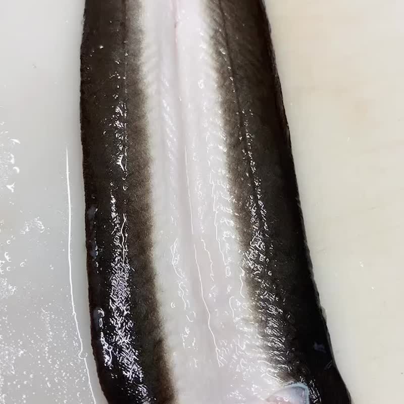 【生生】特大尾 外销日本白鳗 400G 鲜鳗片独享包 - 其他 - 其他材质 红色