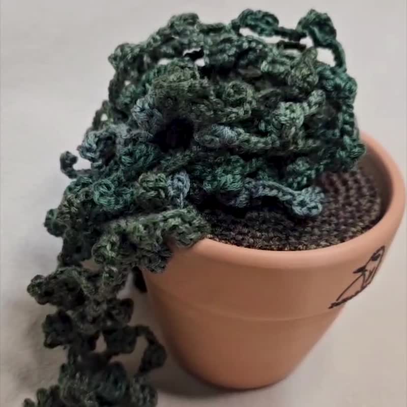 观叶植物 串钱藤-手作编织植物 - 植栽/盆栽 - 绣线 绿色