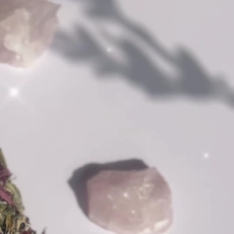法国Totem Nature 有机净化薰香 【野兔花束+瓷盘】套装 - 蜡烛/烛台 - 植物．花 