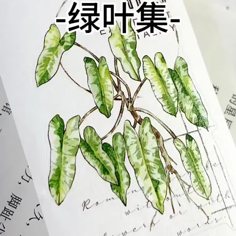綠葉集 - PET和紙膠帶清新觀葉植物葉子DIY手帳日誌裝飾素材 - 纸胶带 - 纸 多色