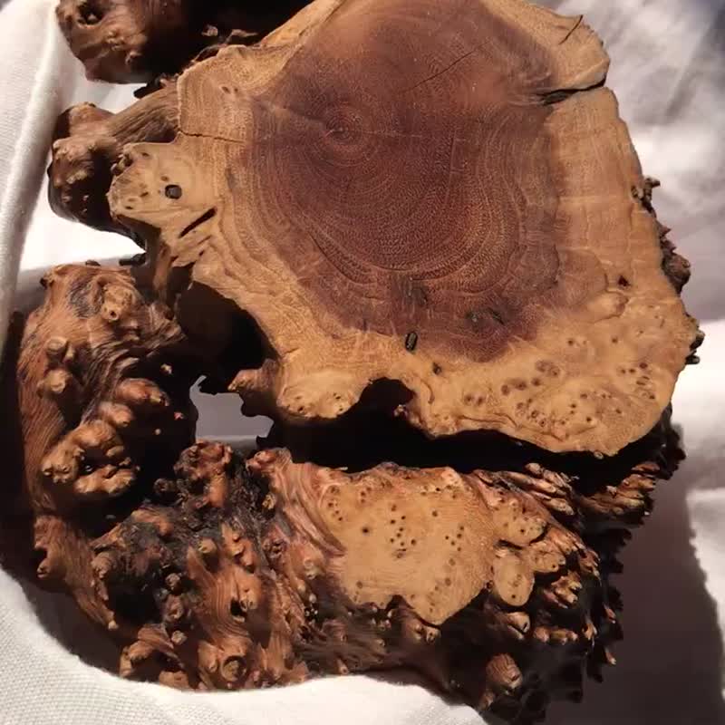 实木 原木 麻利疙瘩木 底座 树根 造景杯垫 茶道 树枝 根雕 - 摆饰 - 木头 咖啡色