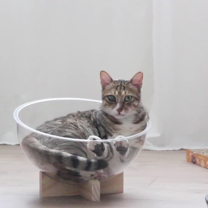 落地太空舱 宠物 猫床 猫笼 小犬 - 床垫/笼子 - 木头 透明
