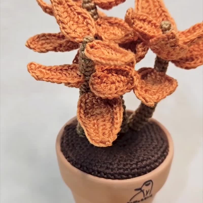 金景天-手作编织植物 - 植栽/盆栽 - 绣线 橘色