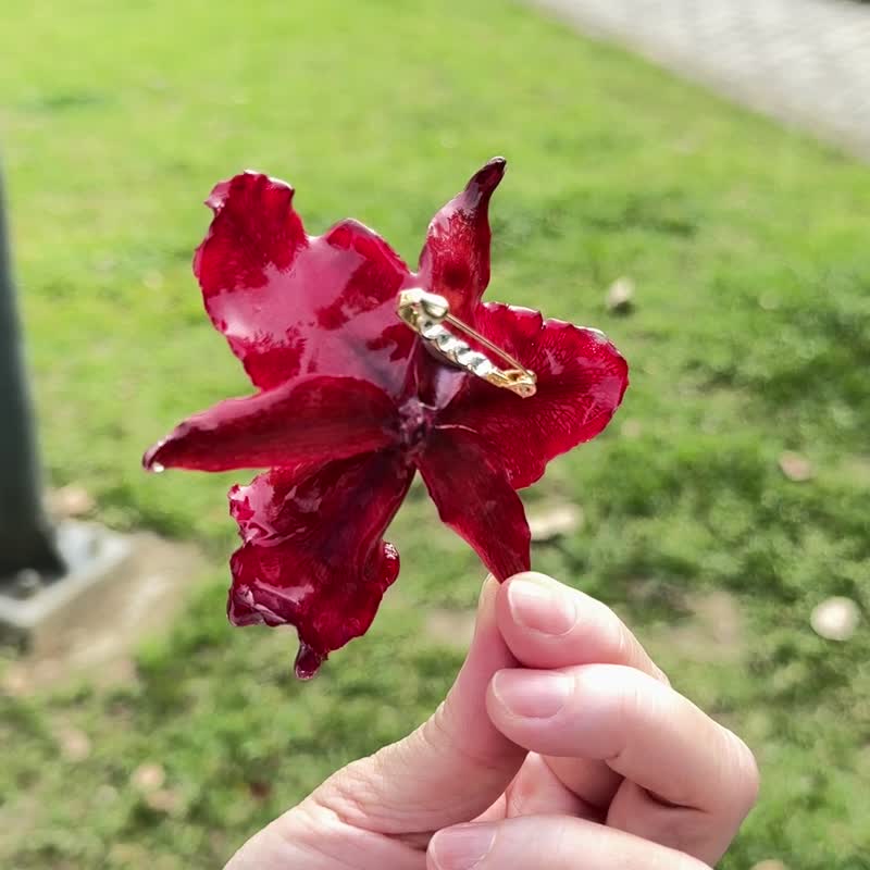 嘉德丽亚兰花胸针/真花饰品/兰花饰品 - 胸针 - 植物．花 