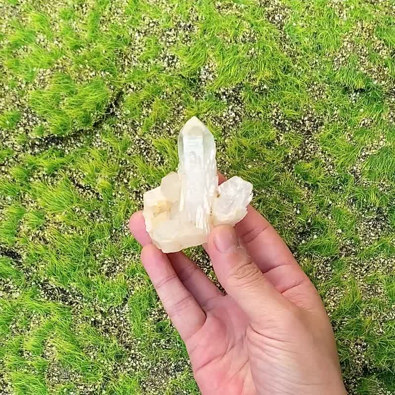 天然原矿菠萝侧芽白水晶簇 白水晶能量柱 消磁净化 快速出货 - 摆饰 - 水晶 白色