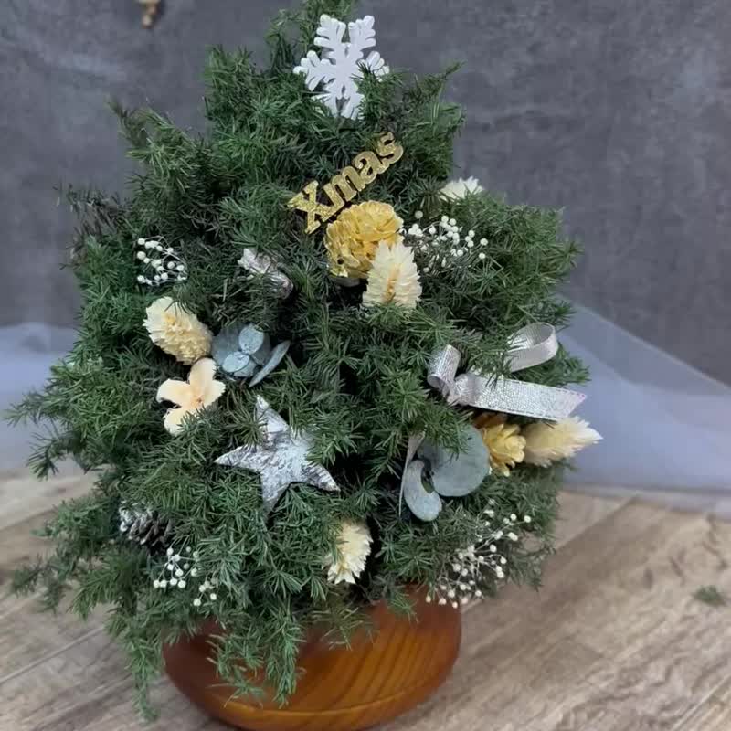 KL-旋转音乐圣诞树 - 音乐专辑 - 植物．花 