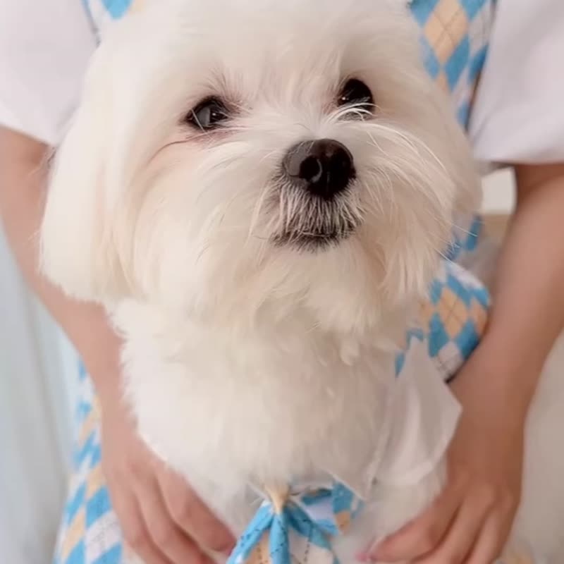 High School Lover Shirt &amp; Vest for dog, cat, puppy  (Matching Outfit with owner) - 衣/帽 - 其他材质 