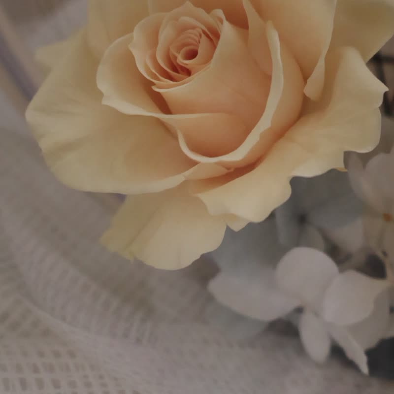 定制化礼物_垂耳兔永生花波波球抱抱桶 - 干燥花/捧花 - 植物．花 