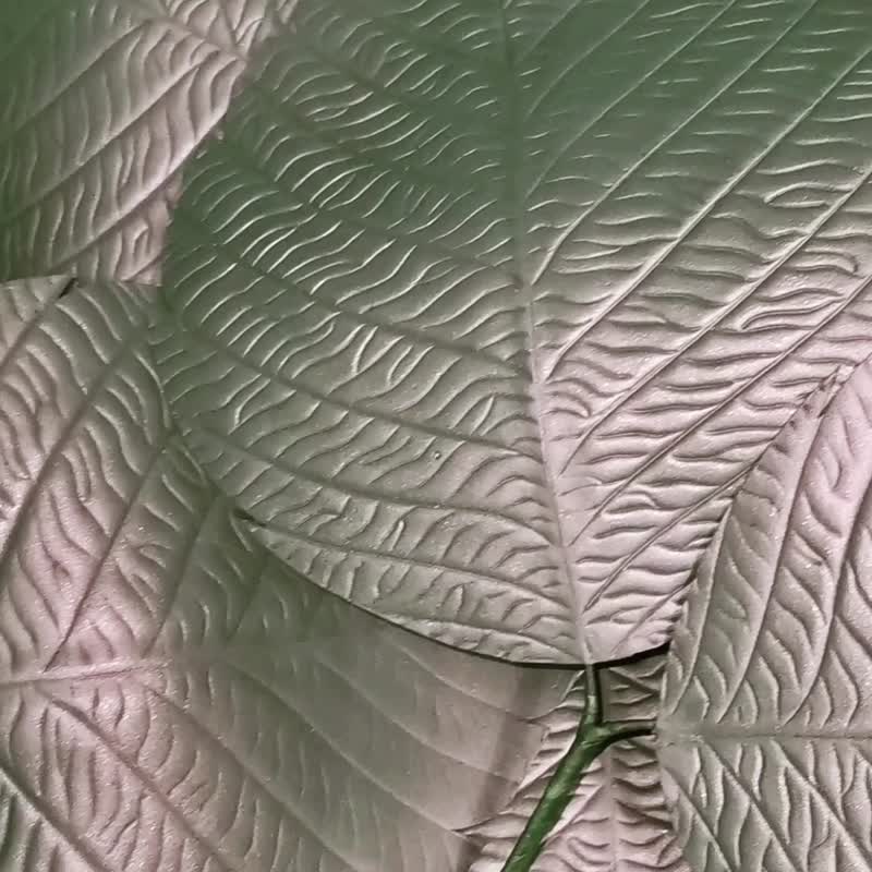 巨大的人造树叶。婚礼装饰。大绿叶。展示柜 - 植栽 - 其他材质 