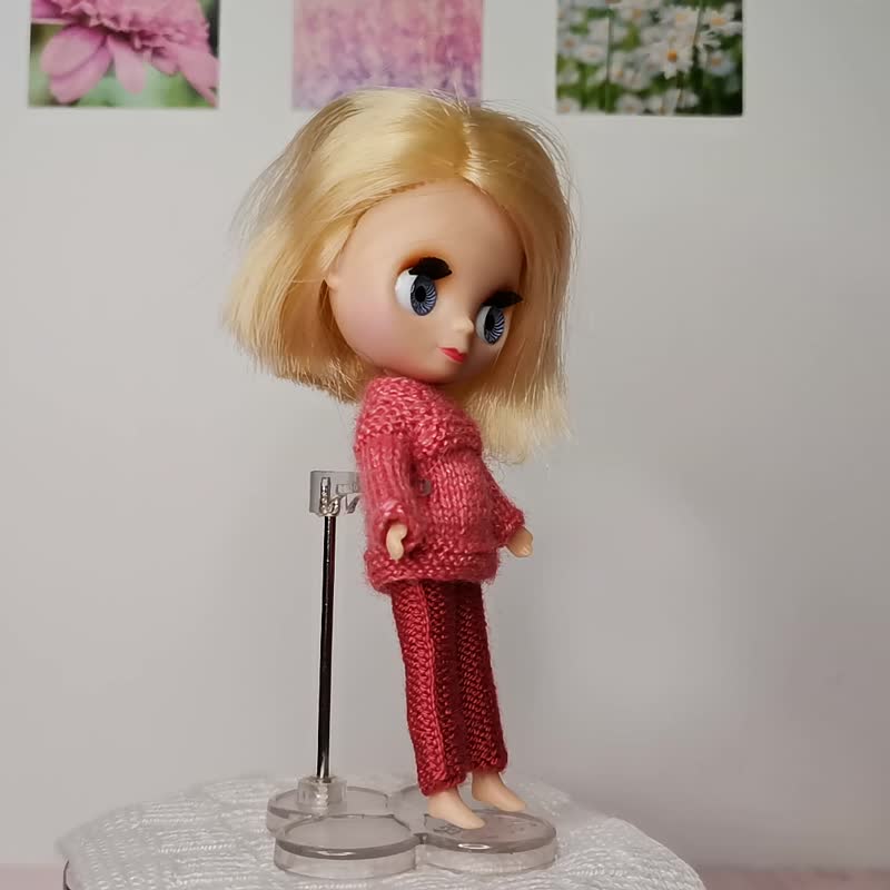 Pants and a coat for the doll Blythe Petite - 玩具/玩偶 - 羊毛 