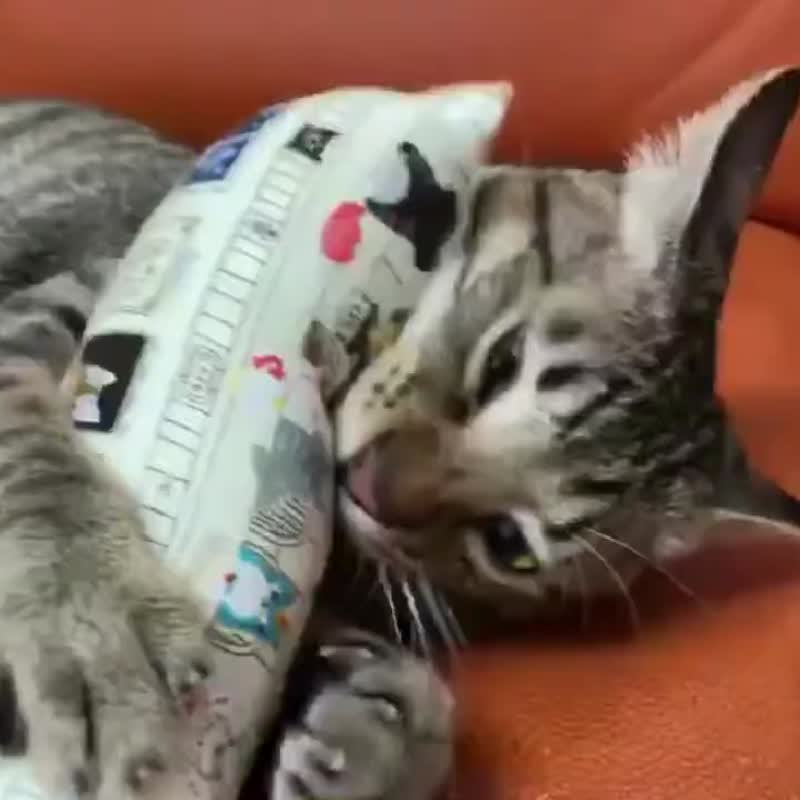 手工缝の胖胖猫草包 台湾制厚棉布 (猫草+猫薄荷) Catnip pouch - 玩具 - 棉．麻 黄色