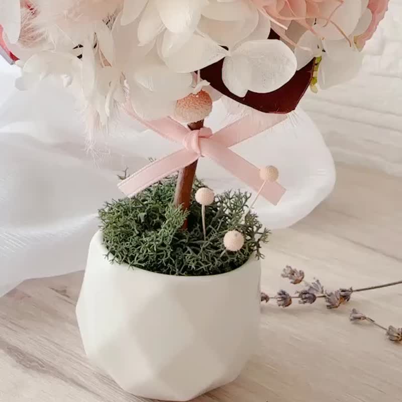 日本永生玫瑰花_许愿扩香花球树 - 干燥花/捧花 - 植物．花 