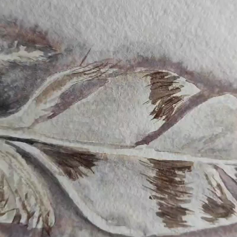 雀羽毛画原创水彩艺术艺术品 21 x 29 厘米 - 海报/装饰画/版画 - 纸 灰色