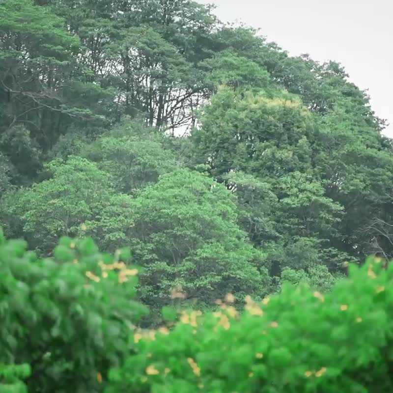 草本植物热敷条 适用腹部腰部 放松紧绷肌肉舒缓压力 - 其他 - 棉．麻 