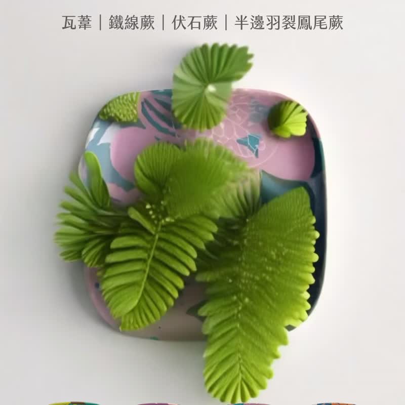蕨景环保小碟4.0 - 圆叶鳞始蕨 | 礼物 小碟 盘 餐具 吐骨 小碗 - 盘子/餐盘/盘架 - 环保材料 粉红色