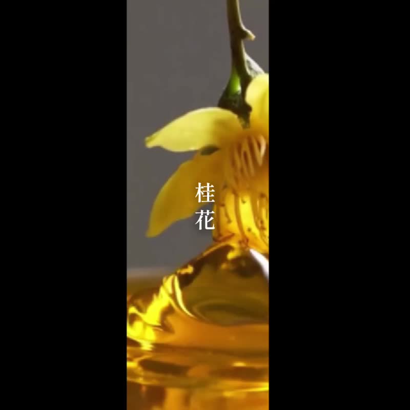 新鲜烘焙、不混掺豆丨 Driver 河野流精品咖啡豆 - 日出桂花 (半磅) - 咖啡 - 新鲜食材 咖啡色