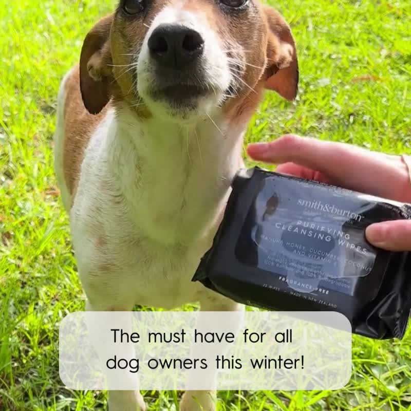 【即期优惠】smith&burton宠物洁净湿纸巾20pack(犬猫适用) - 清洁/美容 - 环保材料 