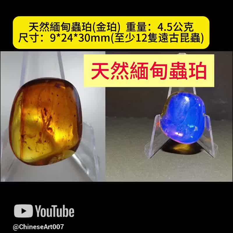 天然缅甸琥珀 虫珀 4.5克 Amber 金珀 原石 琥珀 白垩纪 时空胶囊 - 吊饰 - 半宝石 金色