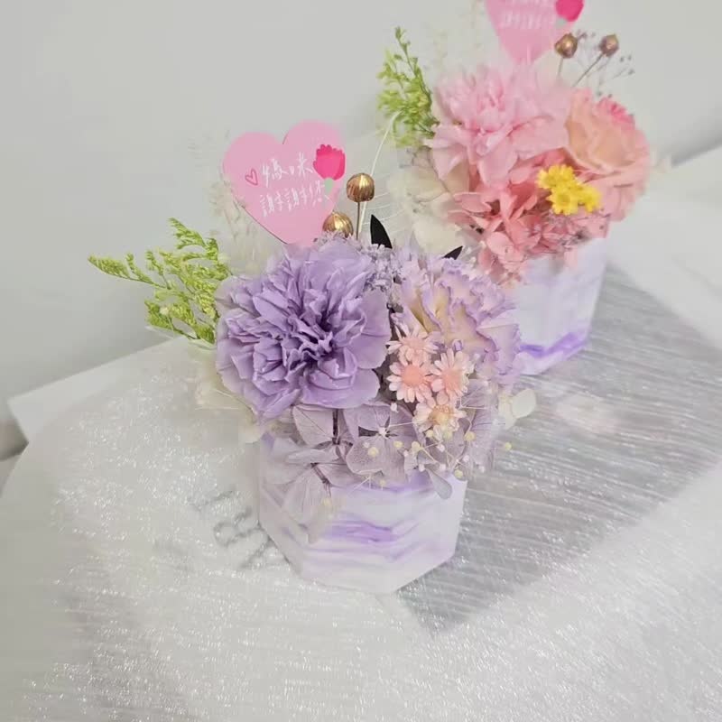 永生康乃馨扩香盆花 母亲节花礼 生日花礼 祝贺花礼 - 干燥花/捧花 - 植物．花 多色
