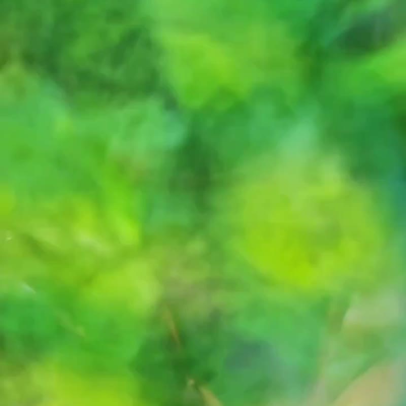 琉璃盘 - 碧波藏夏 - 盘子/餐盘/盘架 - 琉璃 绿色