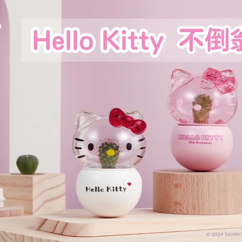 Hello Kitty不倒翁盆栽 50周年限定款 疗愈盆栽 桌上摆饰 不倒翁 - 植栽/盆栽 - 植物．花 粉红色