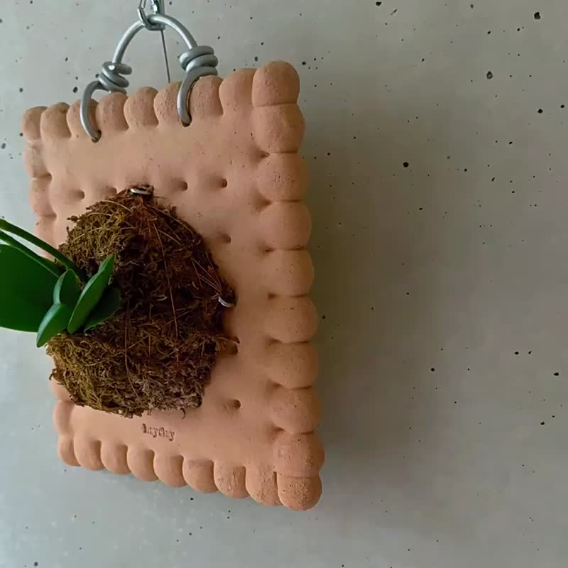 苏打粗陶植板 | 手工原创陶板蝴蝶兰板植陶板植物蕨板挂板 - 植栽/盆栽 - 陶 