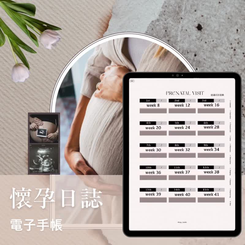 怀孕日志 I 电子手帐 I 母婴 I 孕期纪录 - 电子手帐及素材 - 其他材质 