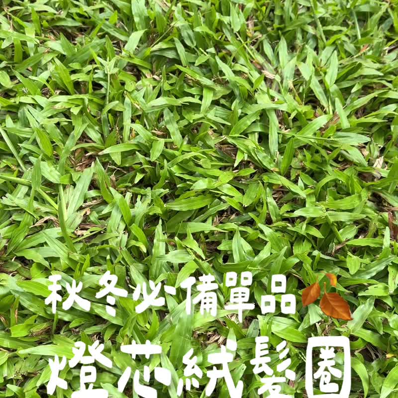 【发圈】秋冬单品 送女友首选 灯芯绒 文青感 低调感 - 发饰 - 棉 多色