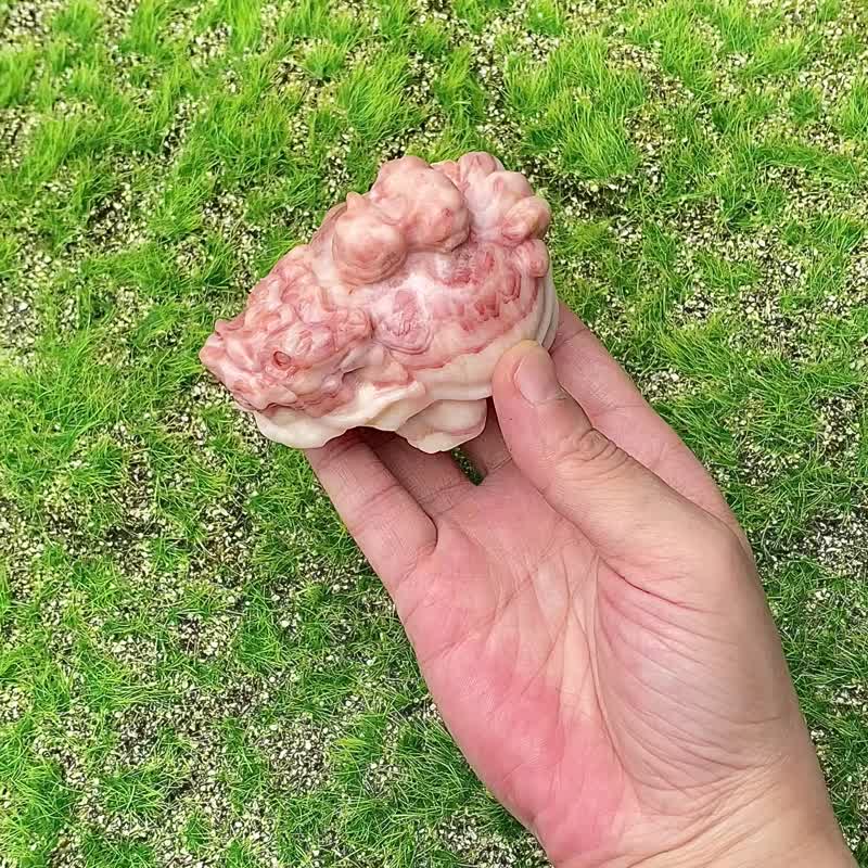 天然蔷薇辉石-龙龟带九尾狐 旺宅运 财运 旺人缘姻缘 避邪保平安 - 摆饰 - 水晶 多色