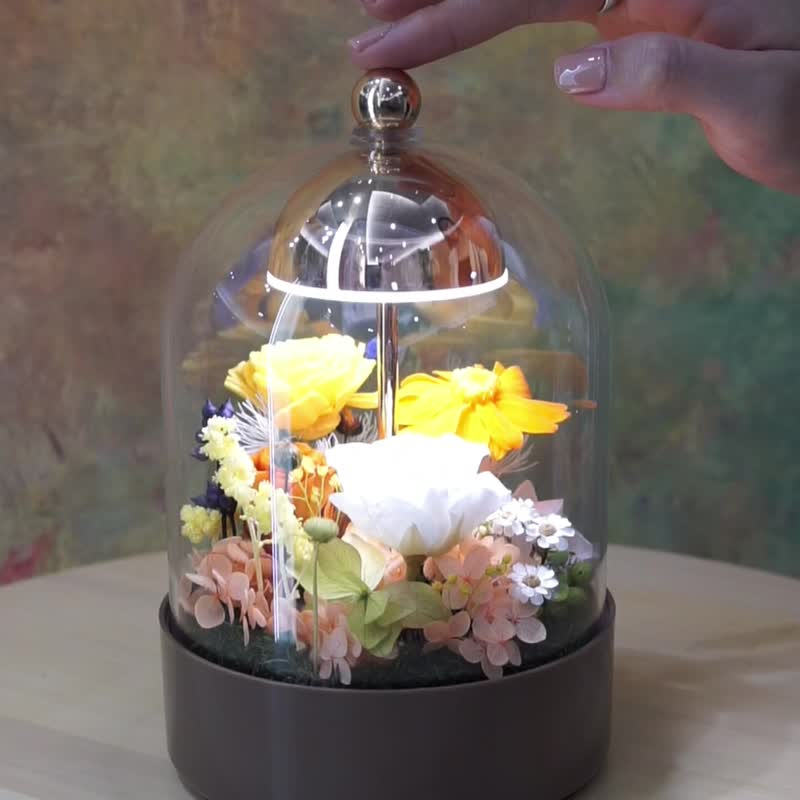 玻璃盅罩 LED 触控永生花灯 - 暖阳小花园 - 干燥花/捧花 - 植物．花 多色