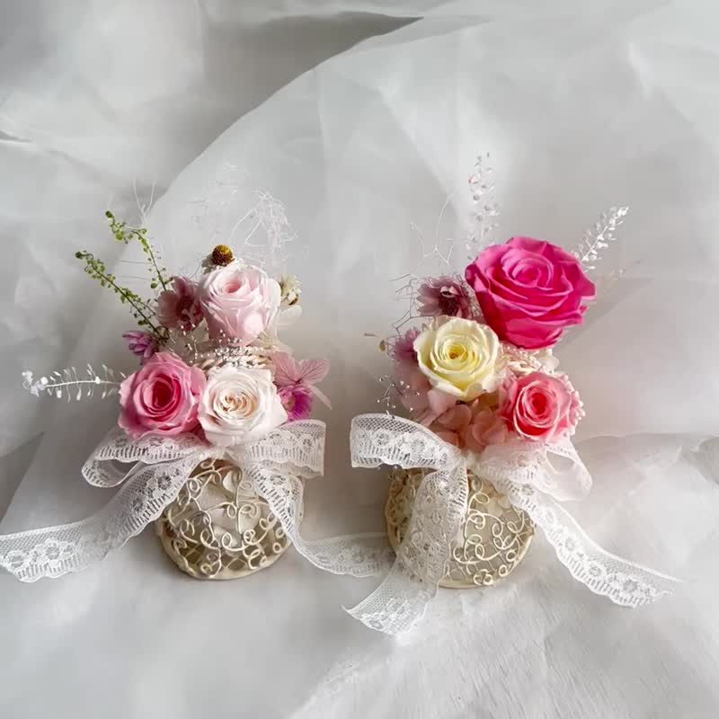 永生盆花-亲亲宝贝baby shoes - 干燥花/捧花 - 植物．花 