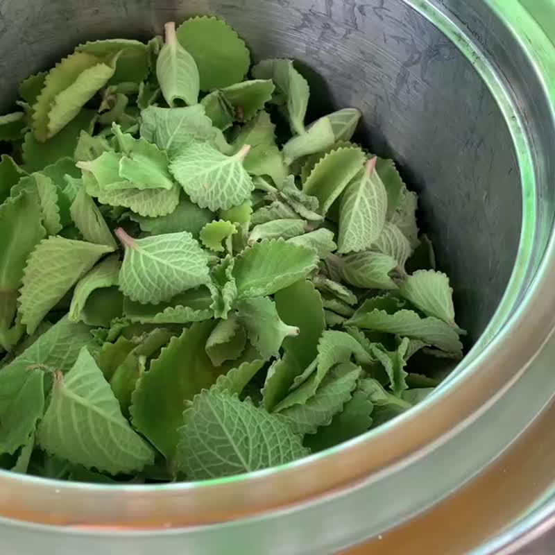 陈家庄澳洲茶树精油纯露买五送一优惠中 - 香薰/精油/线香 - 浓缩/萃取物 透明