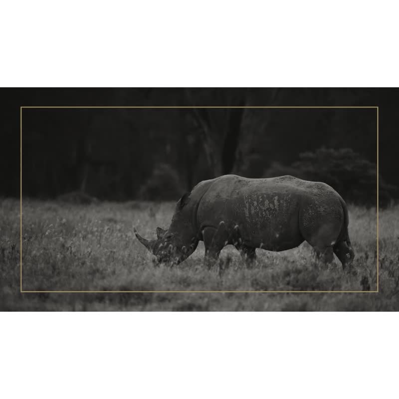 GELLIS鹊利仕32cm RHINO犀釜锅系列精铸一体成型超容量火锅煲汤锅 - 锅具/烤盘 - 其他金属 银色