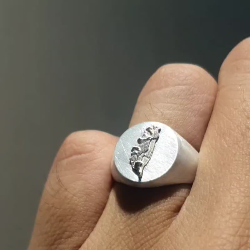 台湾区域戒指14K金925silver - 戒指 - 贵金属 