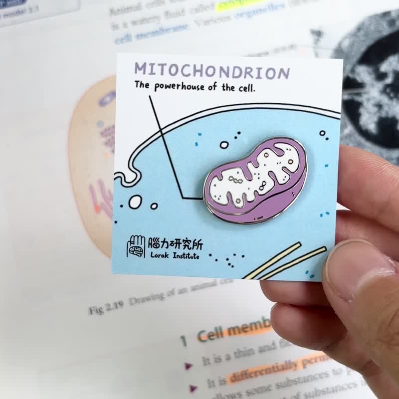 线粒体 粒线体 Mitochondria / 金属徽章 毕业 生物学 - 徽章/别针 - 其他金属 