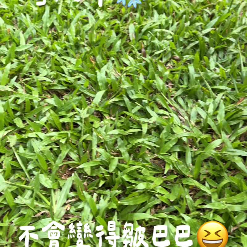 【发圈】夏日小清新 碎花款 送女友首选 气质 成熟 文青 百搭易衬 - 发饰 - 棉．麻 多色