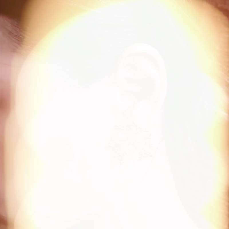 Zahra— 摩洛哥之花镀18K锆石耳环生日 情人节礼物 - 耳环/耳夹 - 其他金属 