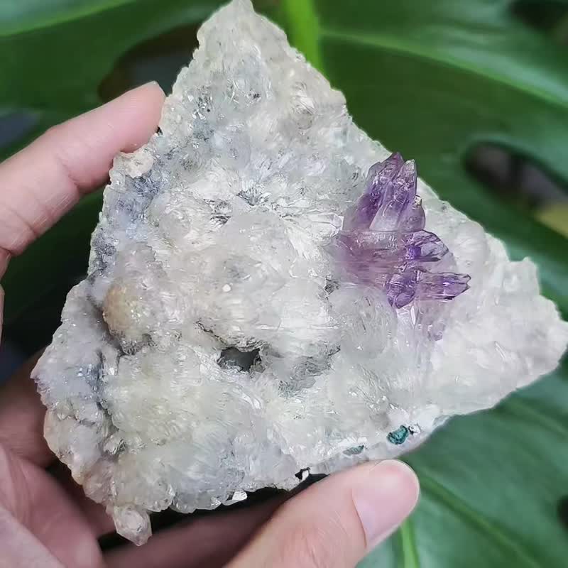 骨干 紫水晶 权杖 权力 智慧 招财 顶轮 原矿摆件 收藏 单品 礼物 - 摆饰 - 宝石 紫色