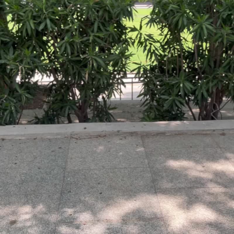 网格编织包 - 手提包/手提袋 - 其他材质 白色