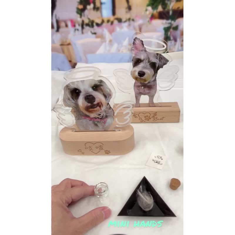 定制化宠物纪念品 小天使LED相架灯座  宠物毛发 宠爱回忆 狗纪念 - 摆饰 - 塑料 多色